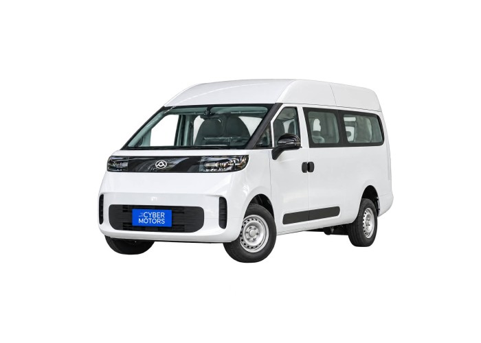 Saic Maxus Dana V1L